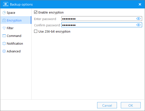 encryption in backup options